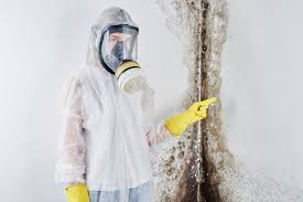 Best Mold Prevention Services  in Devine, TX